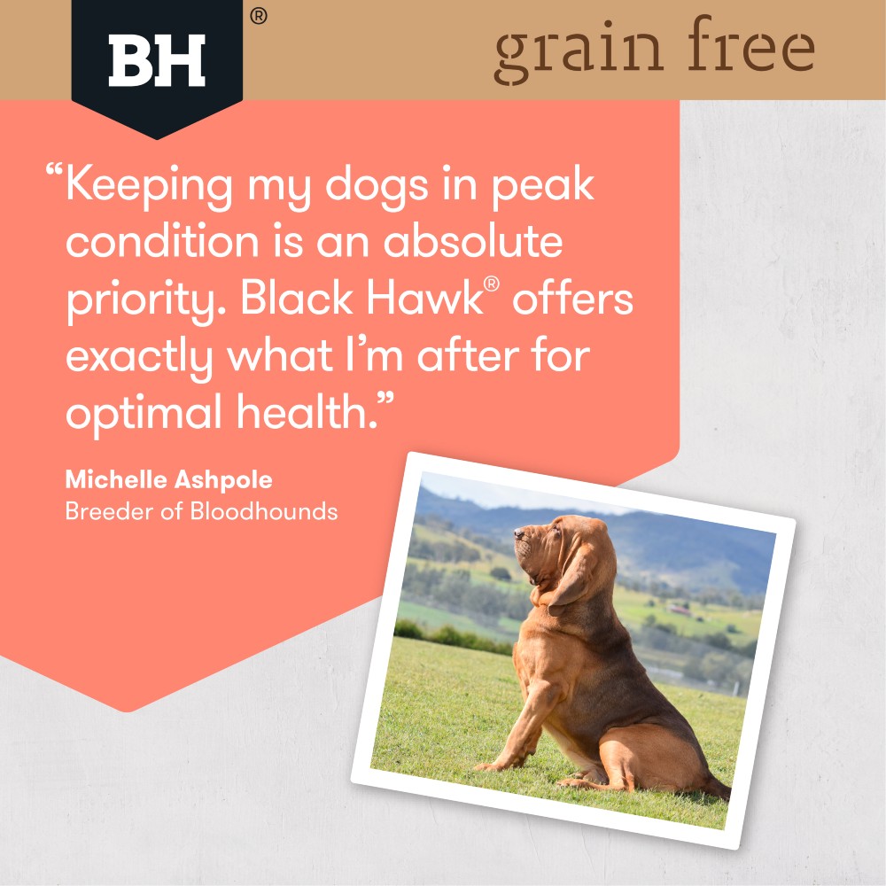 Black hawk dog 2024 food grain free